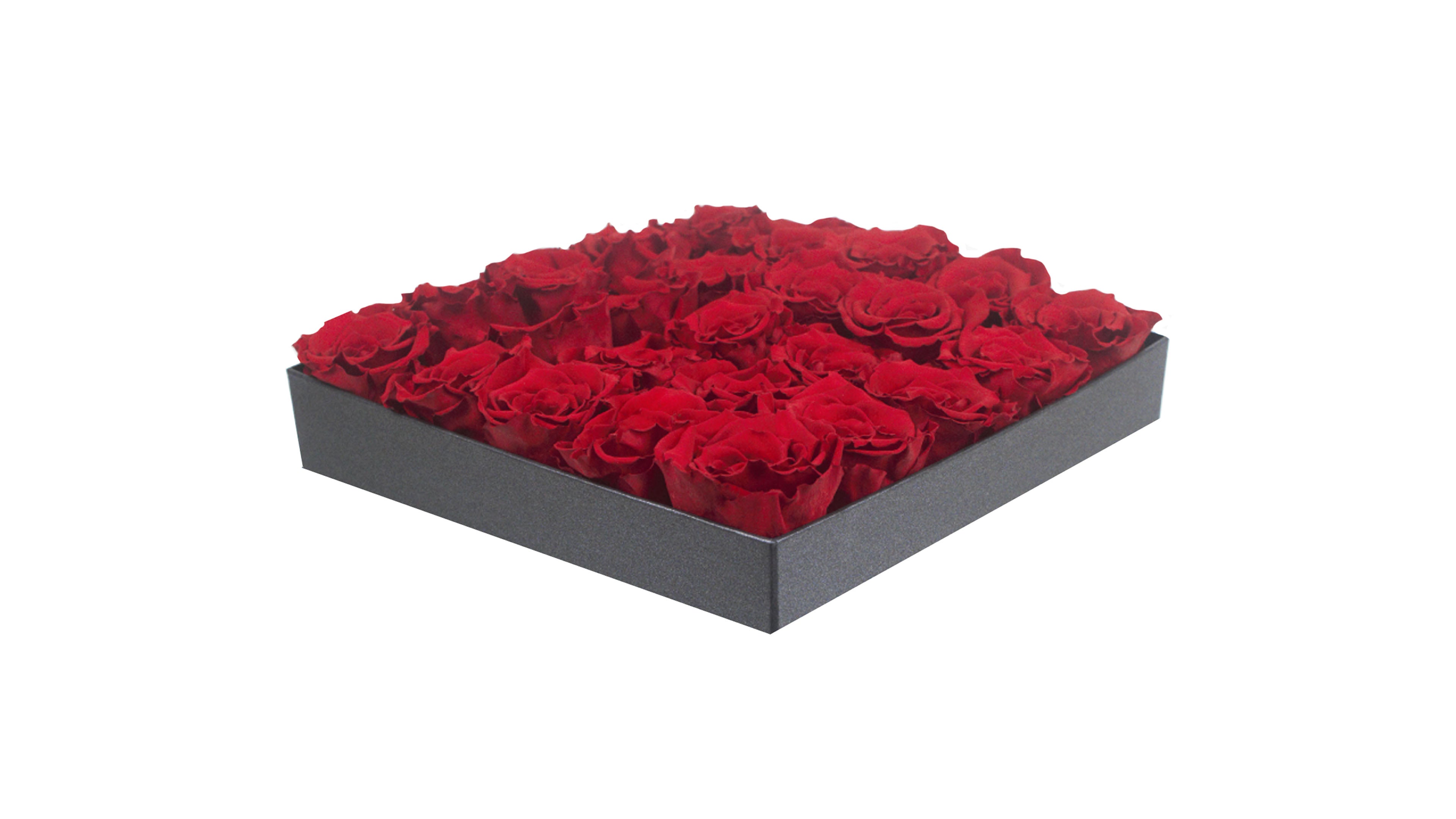 Majestic square boxes - medium - diamondflorist.co.uk