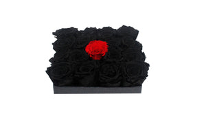 Majestic square boxes - small - diamondflorist.co.uk